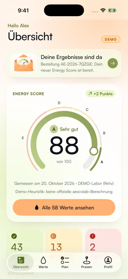 App-Übersicht mit Energy Score 88 von 100, Note A