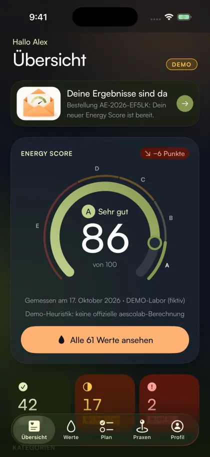 Dieselbe Übersicht im Dark Mode, Energy Score 86